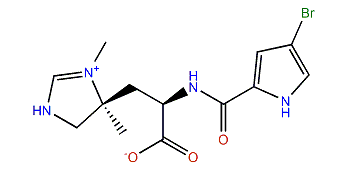 Clathramide B